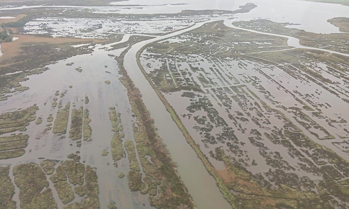 Regiões de Leiria, de Coimbra e do Médio Tejo pedem alargamento dos prazos de apoios