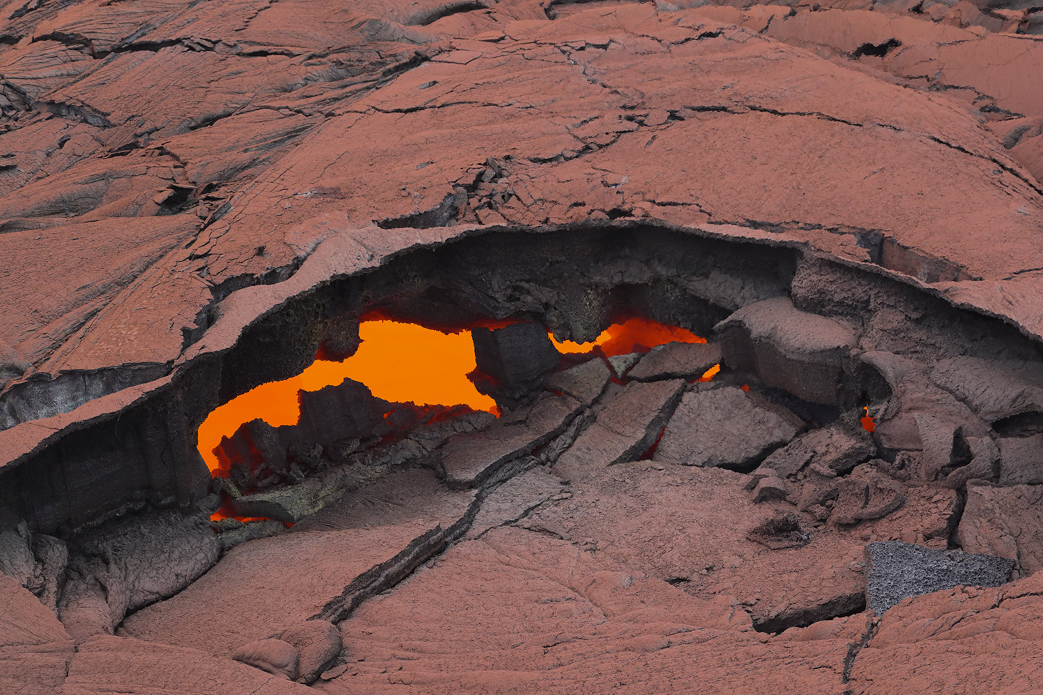  Foto: Bruce Omori - EPA 