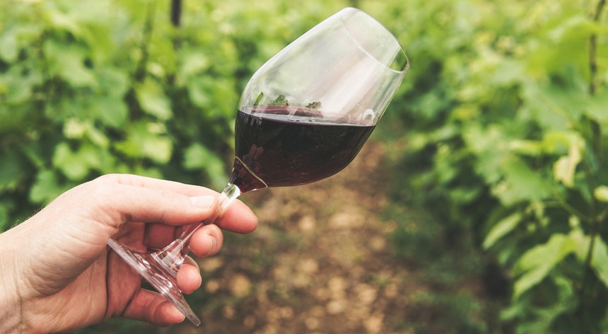 Portugal procura alargar as exportações de vinho para o Brasil

