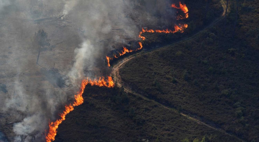 Em 2017, ano dos grandes incêndios de outubro, terão ardido mais de 500 mil hectares
