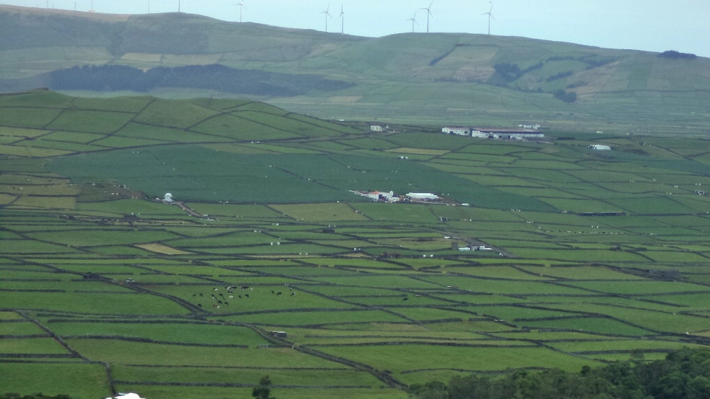  Enviado por Maria Silva 