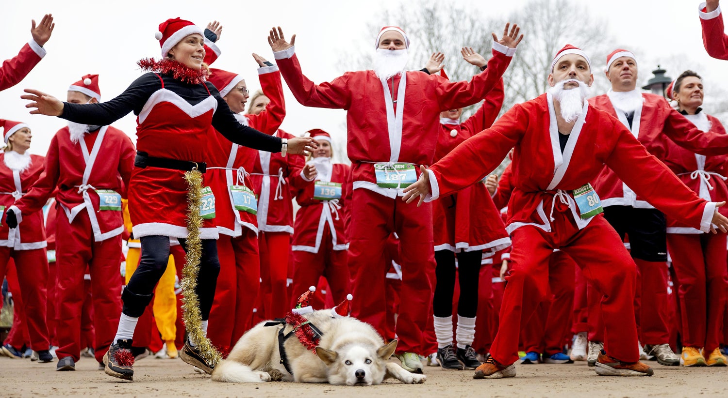 Natal � neerlandesa
