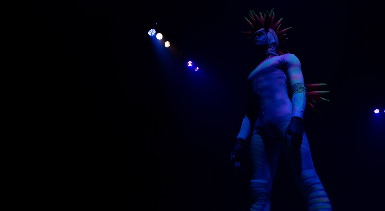  Foto: David Ara&uacute;jo - RTP 