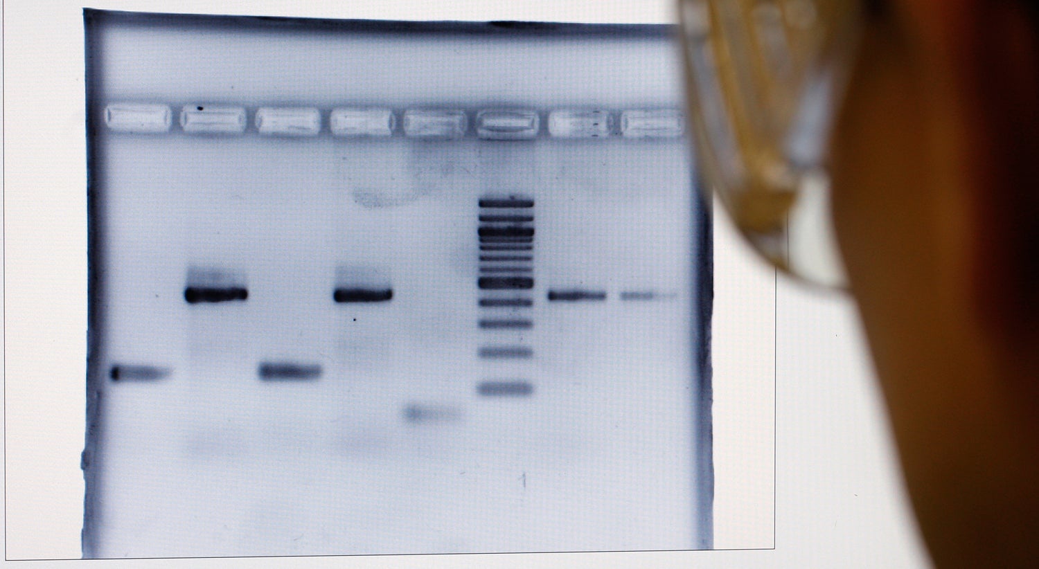 Foto: Vincent Kessler - Reuters