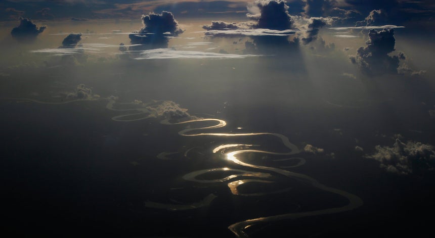 Quase 400 novas espécies descobertas na Amazónia em dois anos - WWF