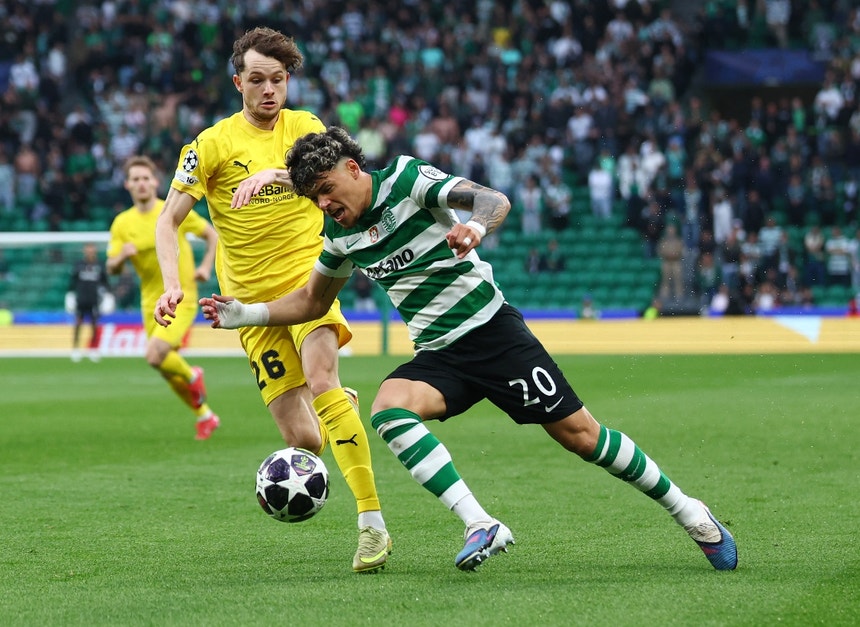 Sporting CP - Bodo/Glimt