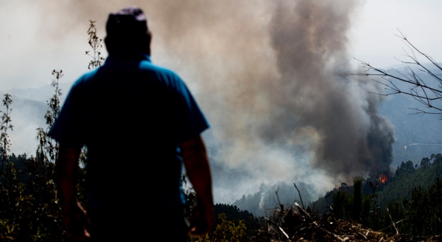 Imagem de Proença-a-Nova. Combate a fogos mobilizou mais de 800 bombeiros