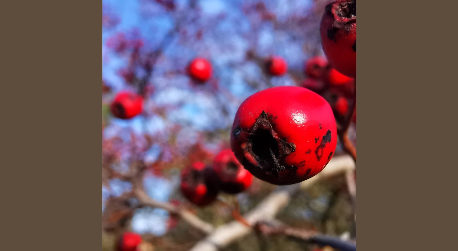  Glasgow, Reino Unido | Tiago Passos - RTP 