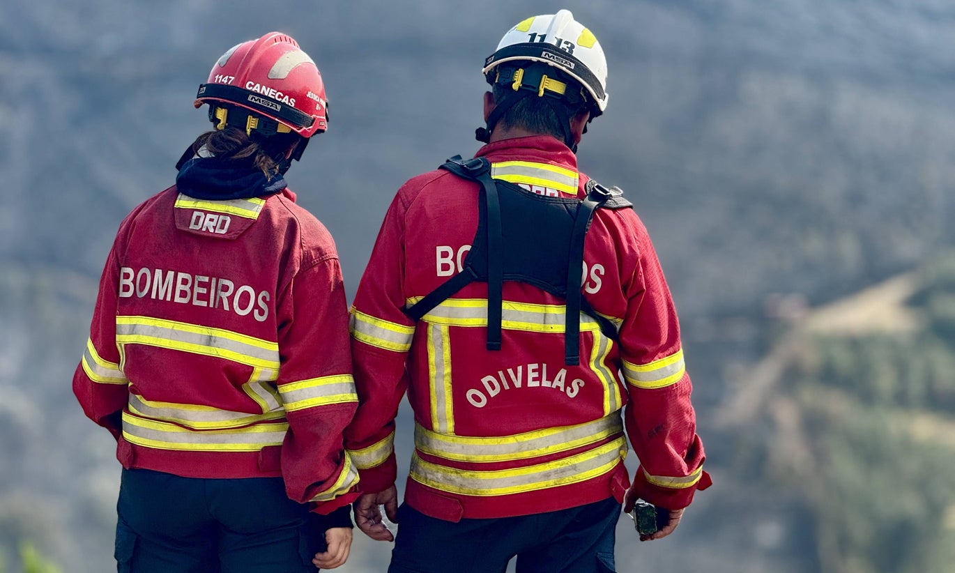 Escola Nacional de Bombeiros lança curso online para todos os cidadãos
