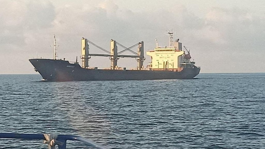 ウクライナ産小麦を積んだ2隻目の貨物船がイスタンブールに到着