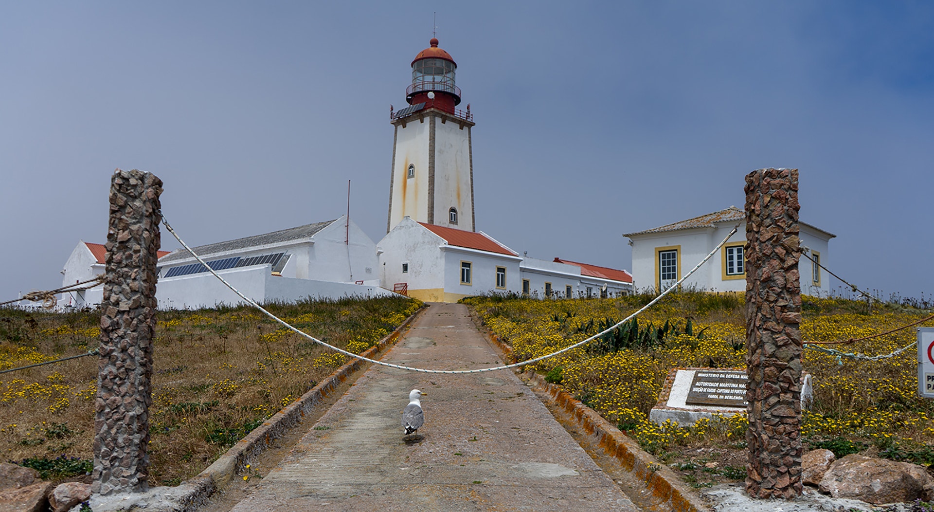  Foto: Rodrigo Lobo - RTP 