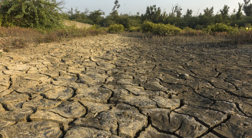 Madagáscar enfrenta a pior seca dos últimos 40 anos. A região Sul do país vive uma situação crítica
