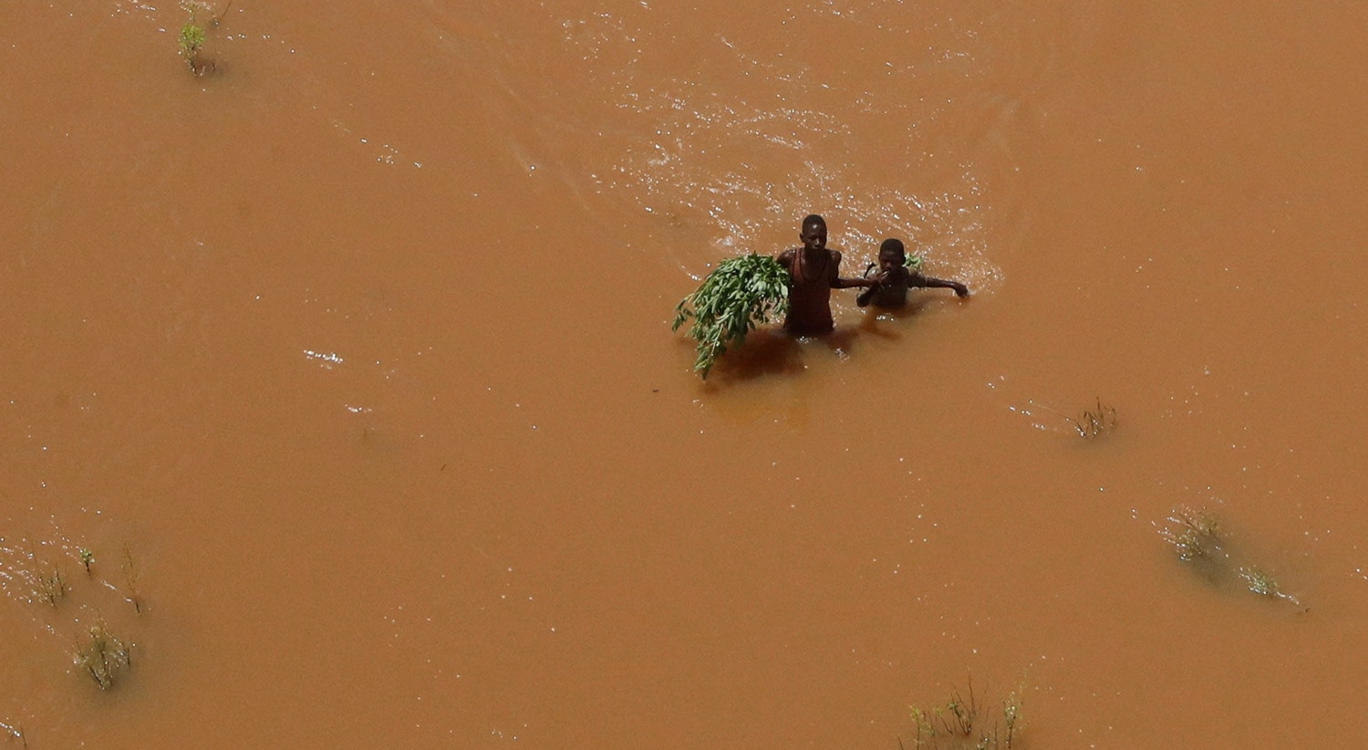  As pessoas agarram-se &agrave;s plantas enquanto atravessam as &aacute;guas das cheias depois de terem sido deslocadas ap&oacute;s fortes chuvas em Garsen, Delta de Tana, no condado do rio Tana, Qu&eacute;nia, 23 de Novembro | Thomas Mukoya - Reuters 