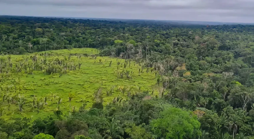 Investidor defende que Amazónia é "questão mais relevante" entre o Brasil e o mundo