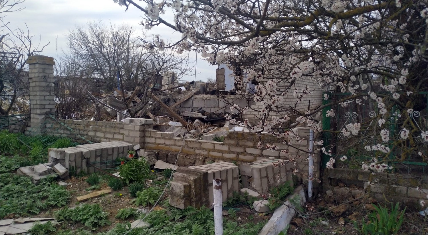  Ant&oacute;nio Mateus - RTP 