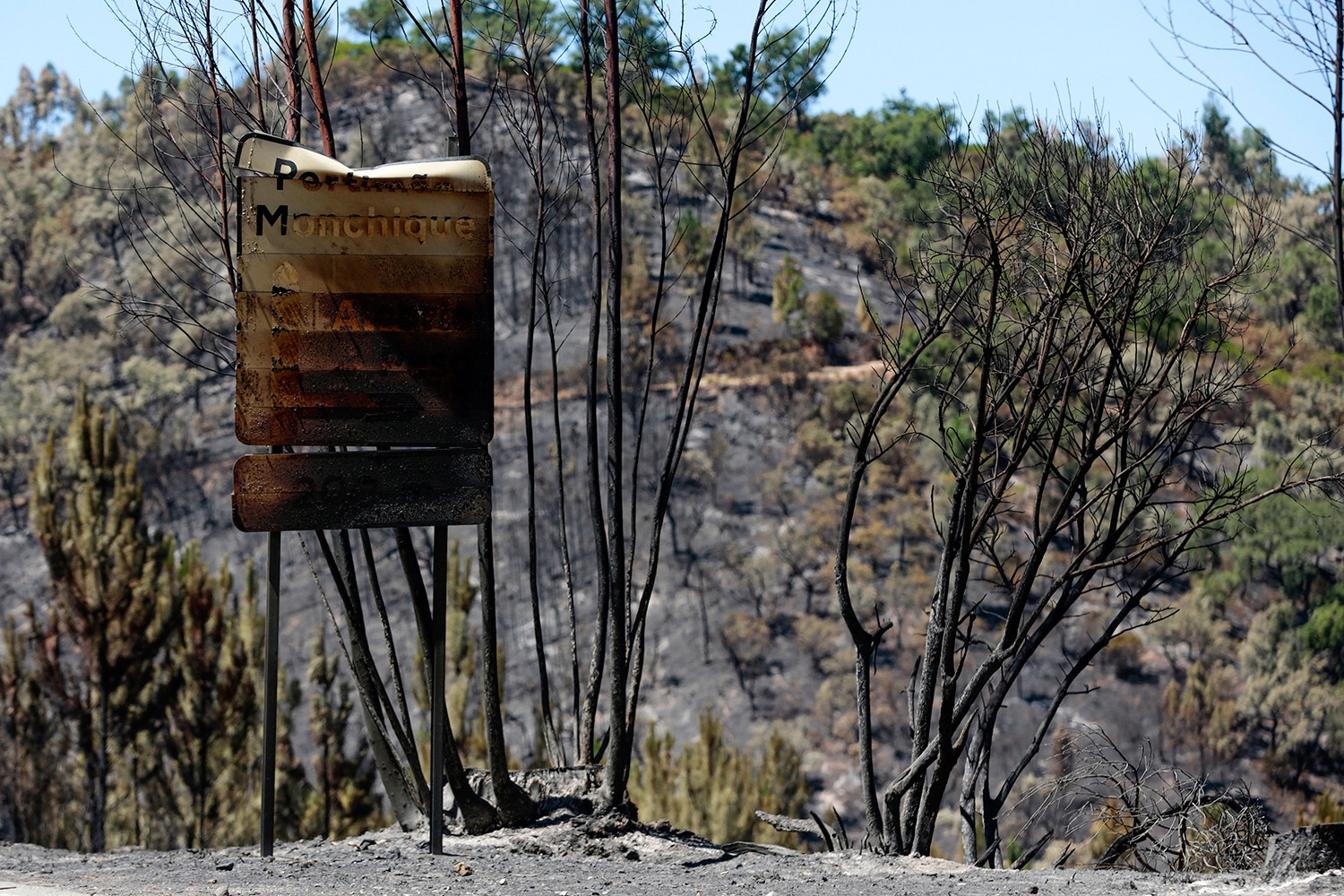  Portela do Vento, Monchique /Filipe Farinha - Lusa 