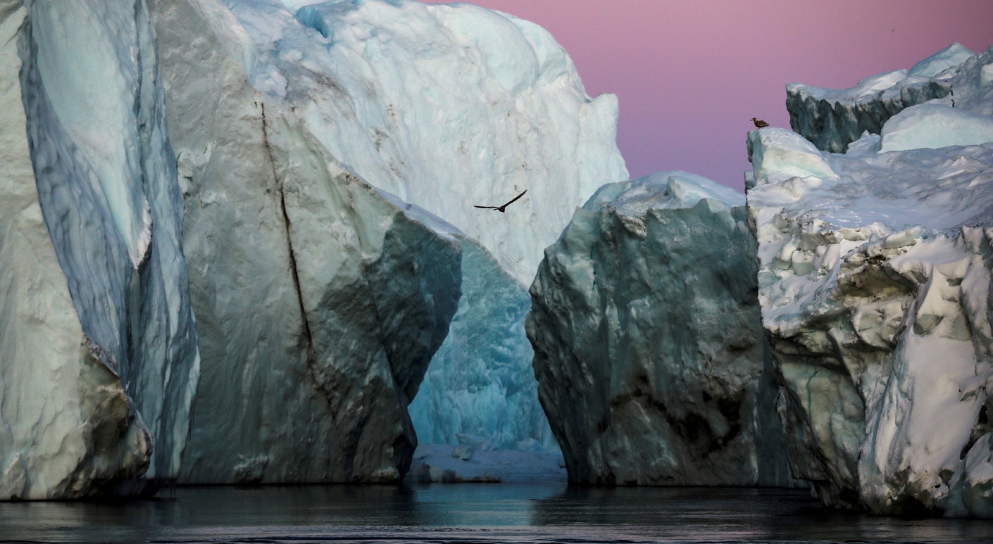  Icebergs derretem a uma maior velocidade com o aumento da temperatura do planeta.  Foz do fiorde de gelo Jakobshavn perto de Ilulissat, Groenl&acirc;ndia | Hannibal Hanschke - Reuters 