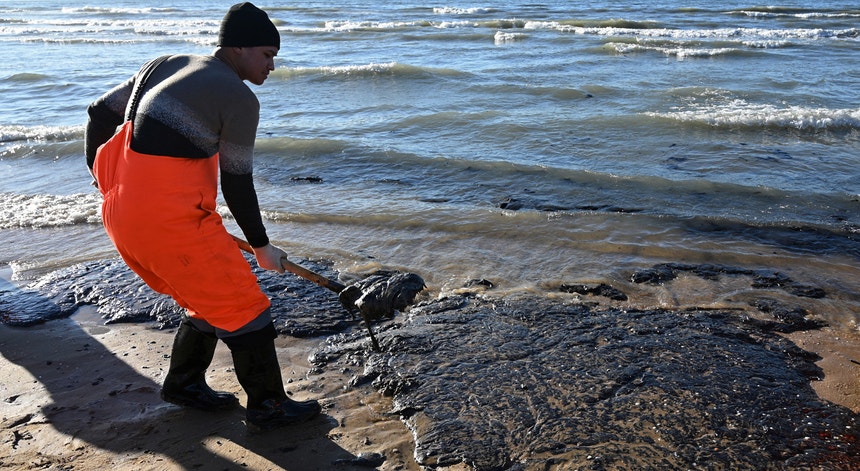 Imagem relacionada com a notícia: Mais de 30 golfihos morreram depois do derrame de petróleo no Mar Negro