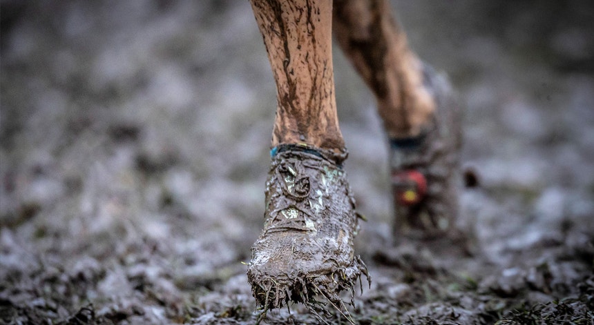Imagem de Sporting de Braga e Benfica campeões europeus de corta-mato
