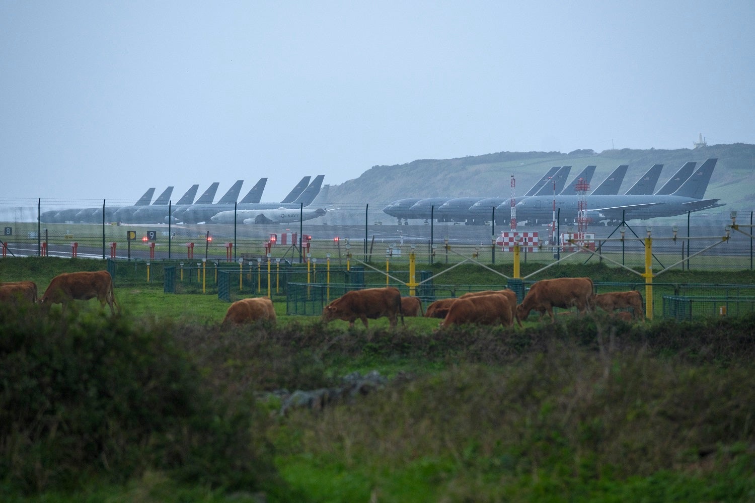 Amnesty International considers that Portugal violated international humanitarian law