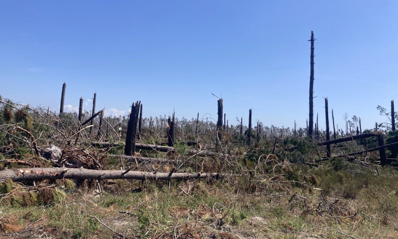 Militares desobstruíram cerca de 500 quilómetros de caminhos em 10 municípios desde abril