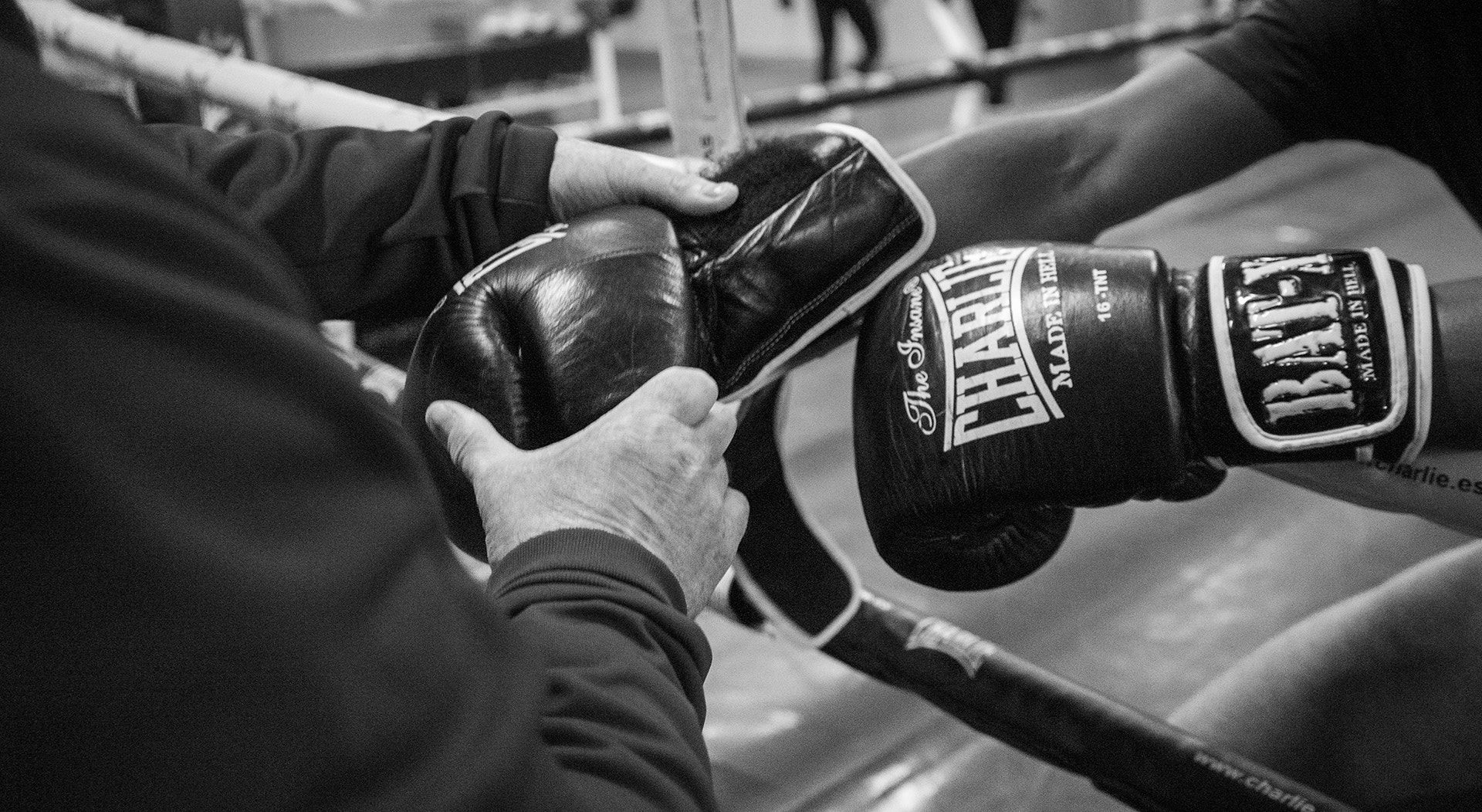  Foto: Rodrigo Lobo - RTP 