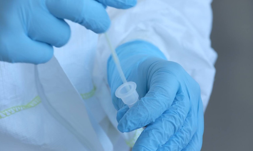 Imagem de Cientistas implantam com sucesso um embrião num endométrio artificial