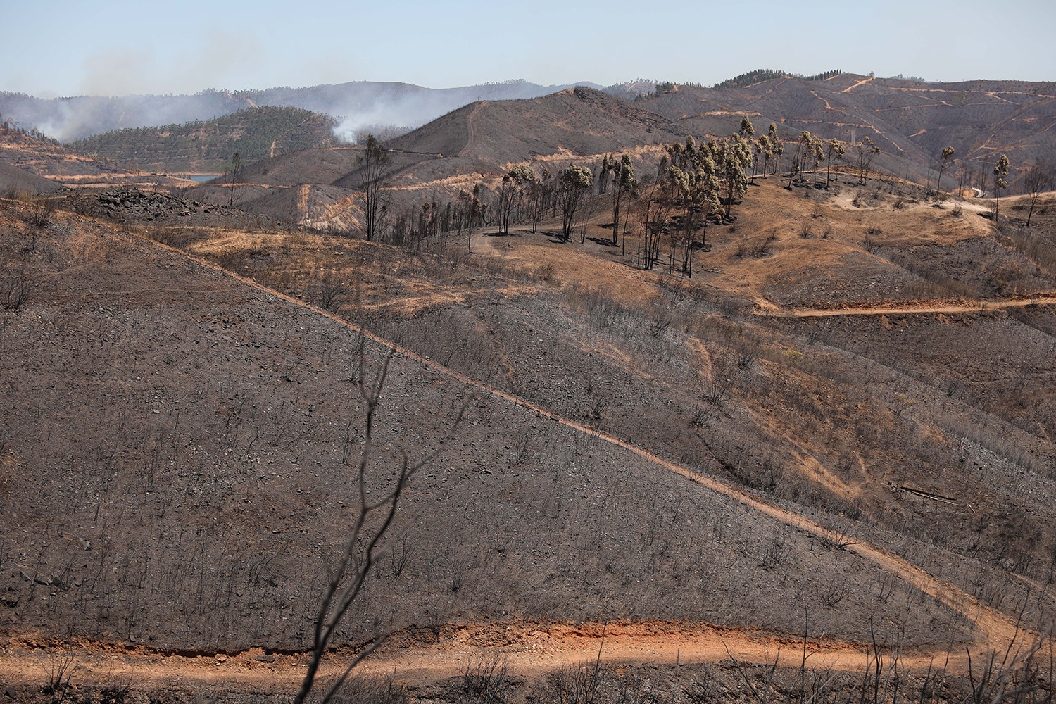  Serra de Monchique /Miguel A. Lopes - Lusa 
