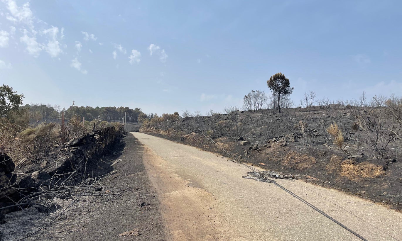Governo cria projeto APIS contra incêndios em áreas protegidas