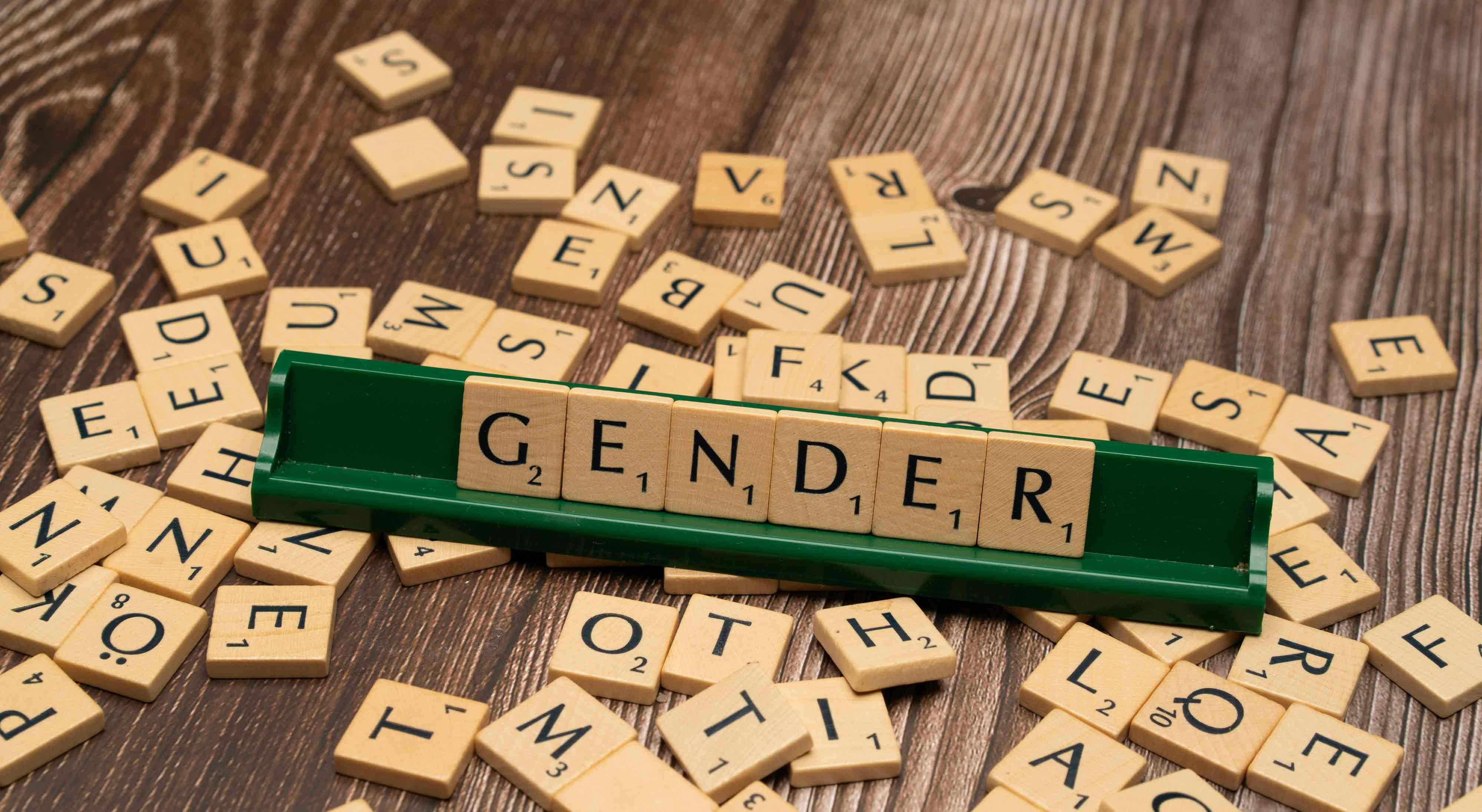 Lei de identidade de género está alinhada com padrões internacionais, defende CIG