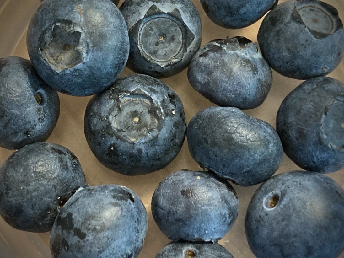 Exportações de pequenos frutos mais que triplicam em 10 anos e atingem máximo de 398 milhões