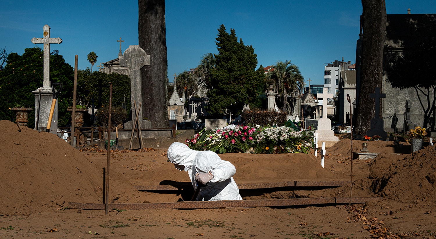  Foto: David Ara&uacute;jo - RTP  