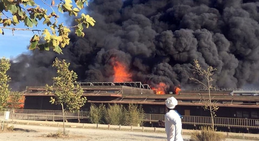 Parque De Campismo Zmar Em Odemira Evacuado Devido A Fogo