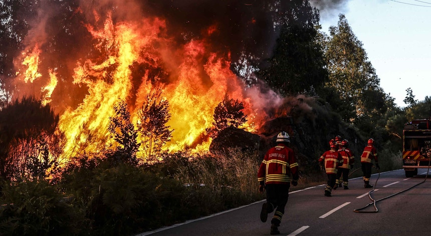 Imagem de Fogo em Vouzela com cinco frentes ativas mobiliza um milhar de operacionais e pressiona aldeias