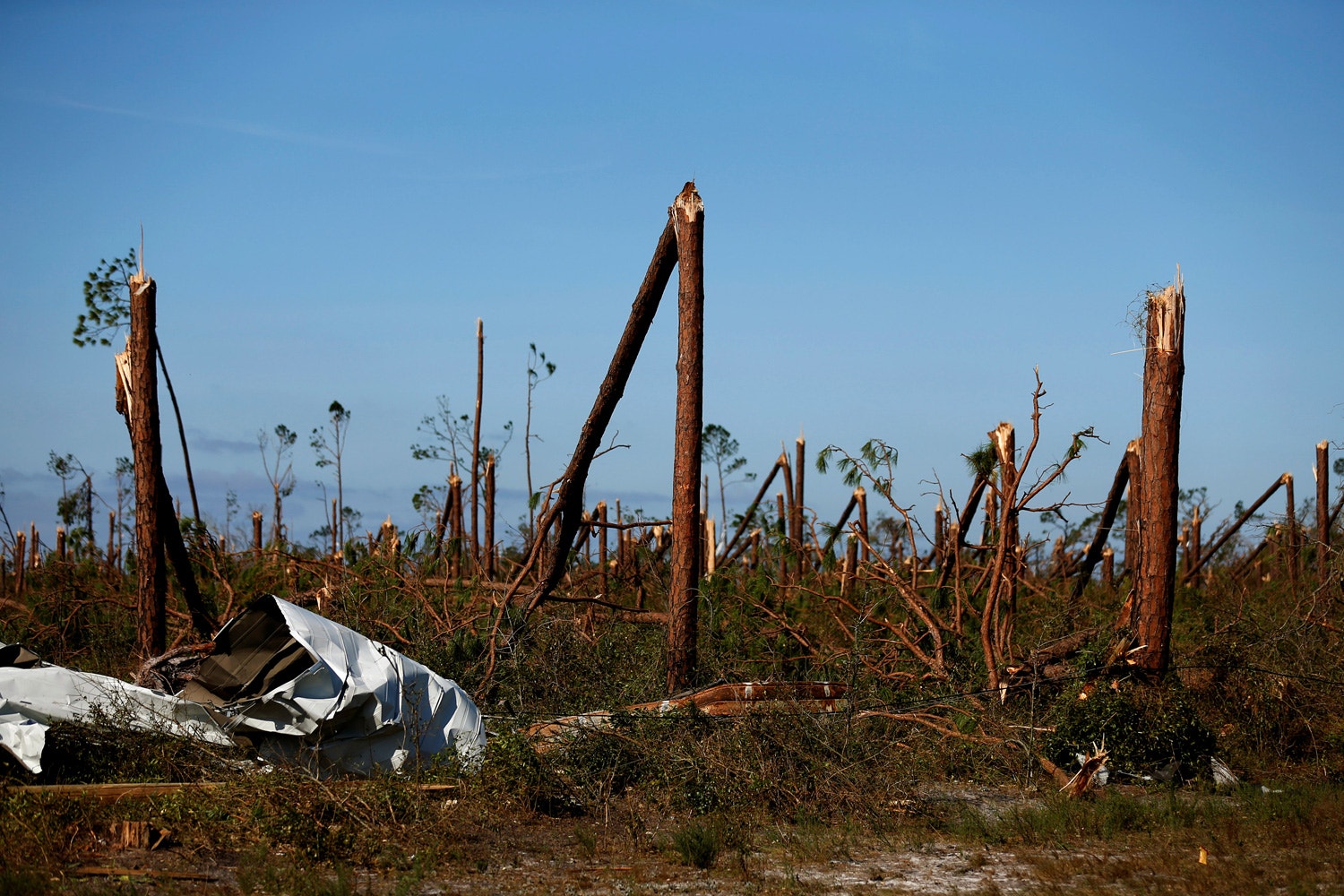  Jonathan Bachman via Reuters 