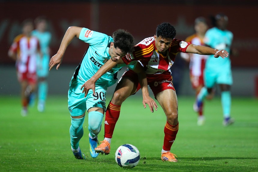 Imagem de Aves - Sporting