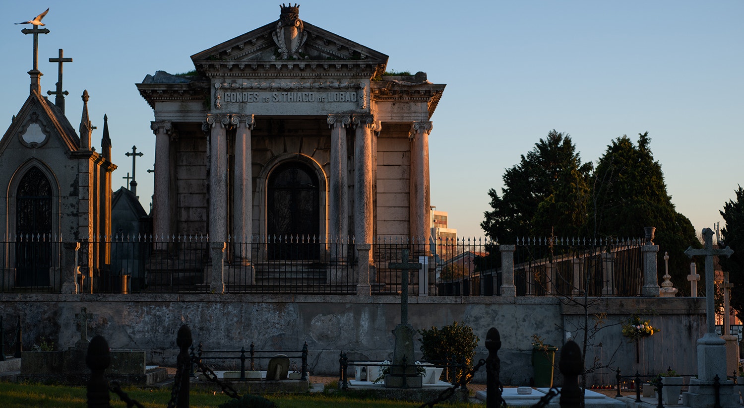  Foto: David Ara&uacute;jo - RTP  