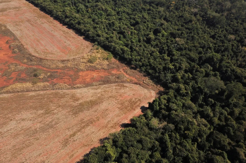 O Cerrado está ser vítima da deflorestação desenfreada
