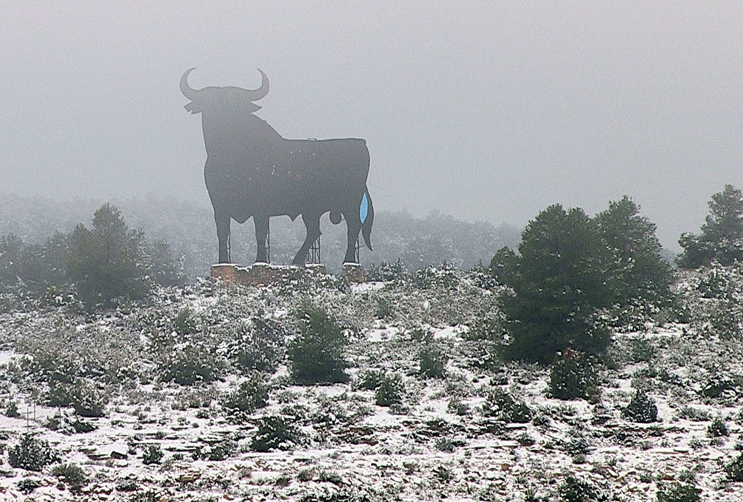  Eusebio Calatayud - EPA 