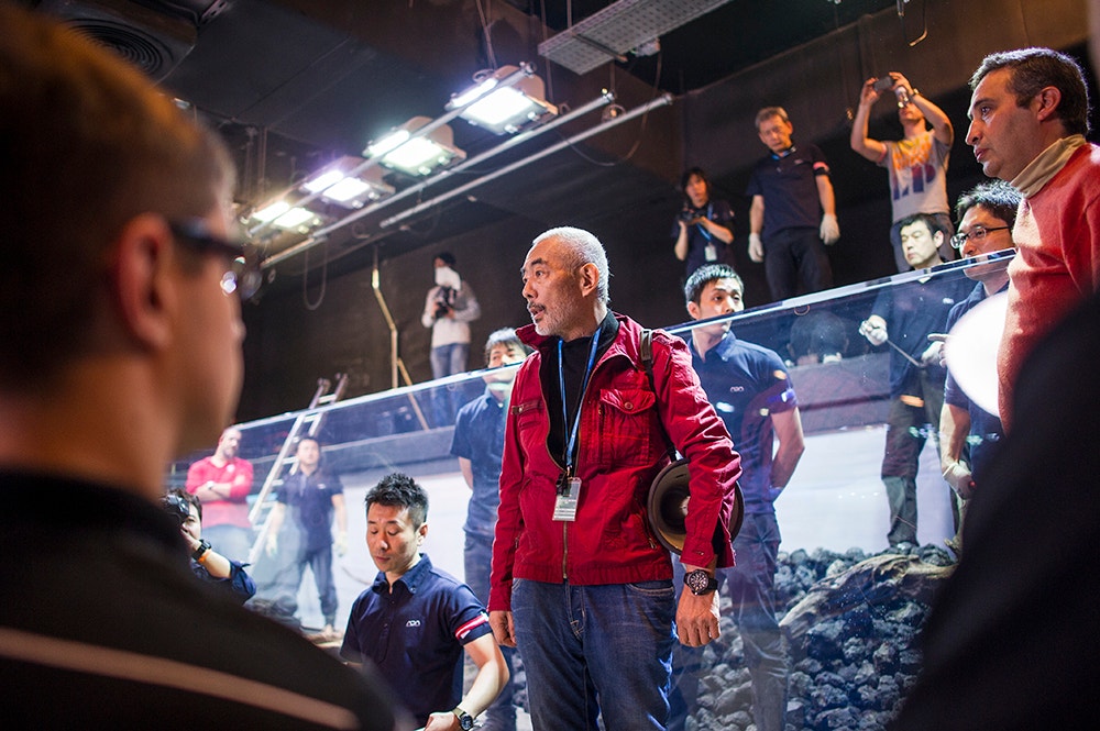  Pedro A. Pina / Ocean&aacute;rio  