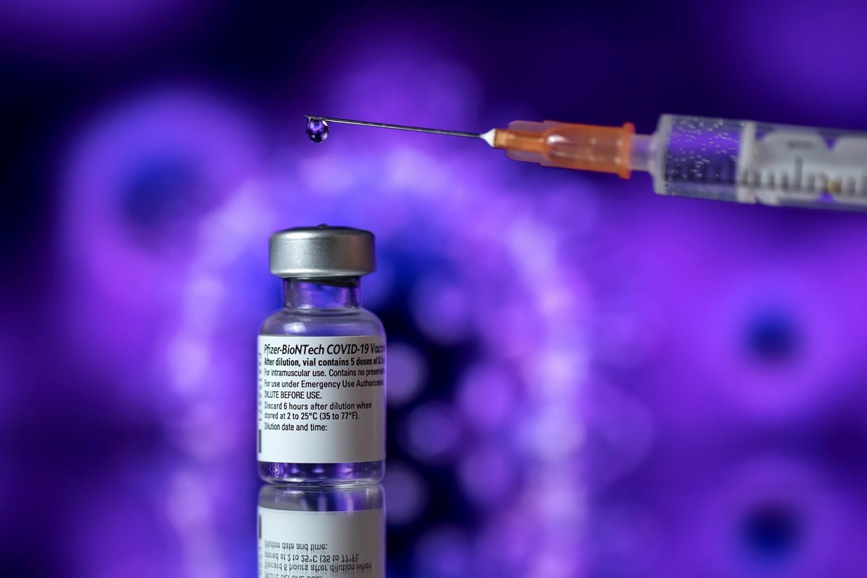 Covid-19. UE defende a necessidade de um passaporte de ...