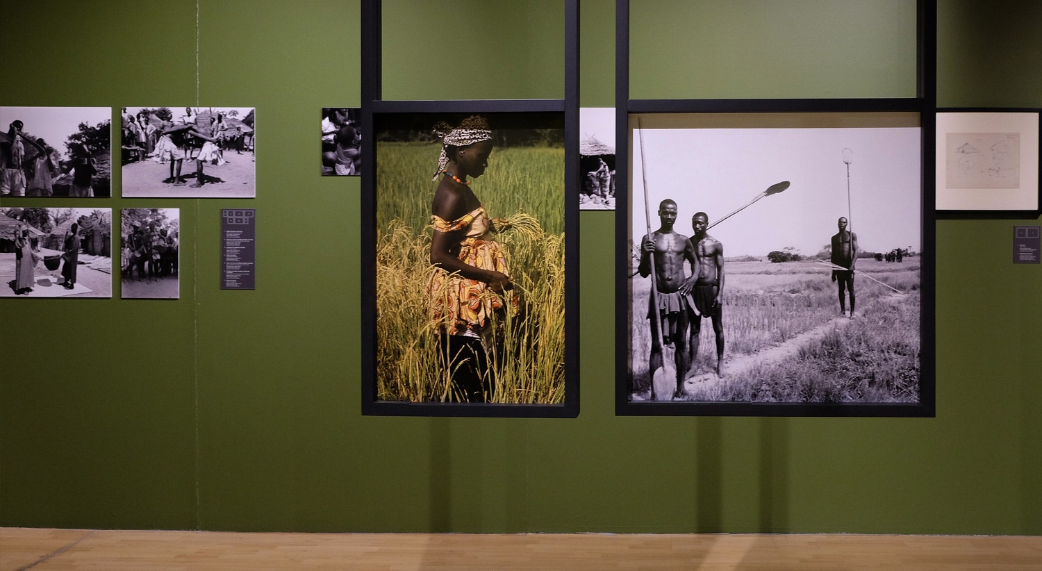  Moran&ccedil;as- habitats tradicionais da Guin&eacute; Bissau&rdquo; Cr&eacute;ditos: MUHNAC-ULisboa 