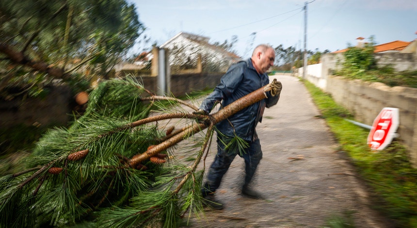 Pós-depressão Kristin. A resposta aos danos e a evolução do estado do tempo ao minuto