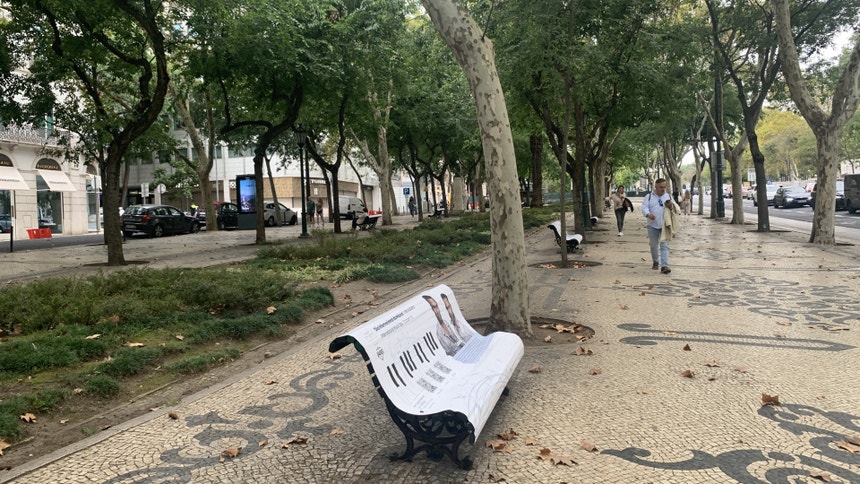 Imagem relacionada com a notícia: Avenida da Liberdade "ao abandono", queixam-se comerciantes e empresários