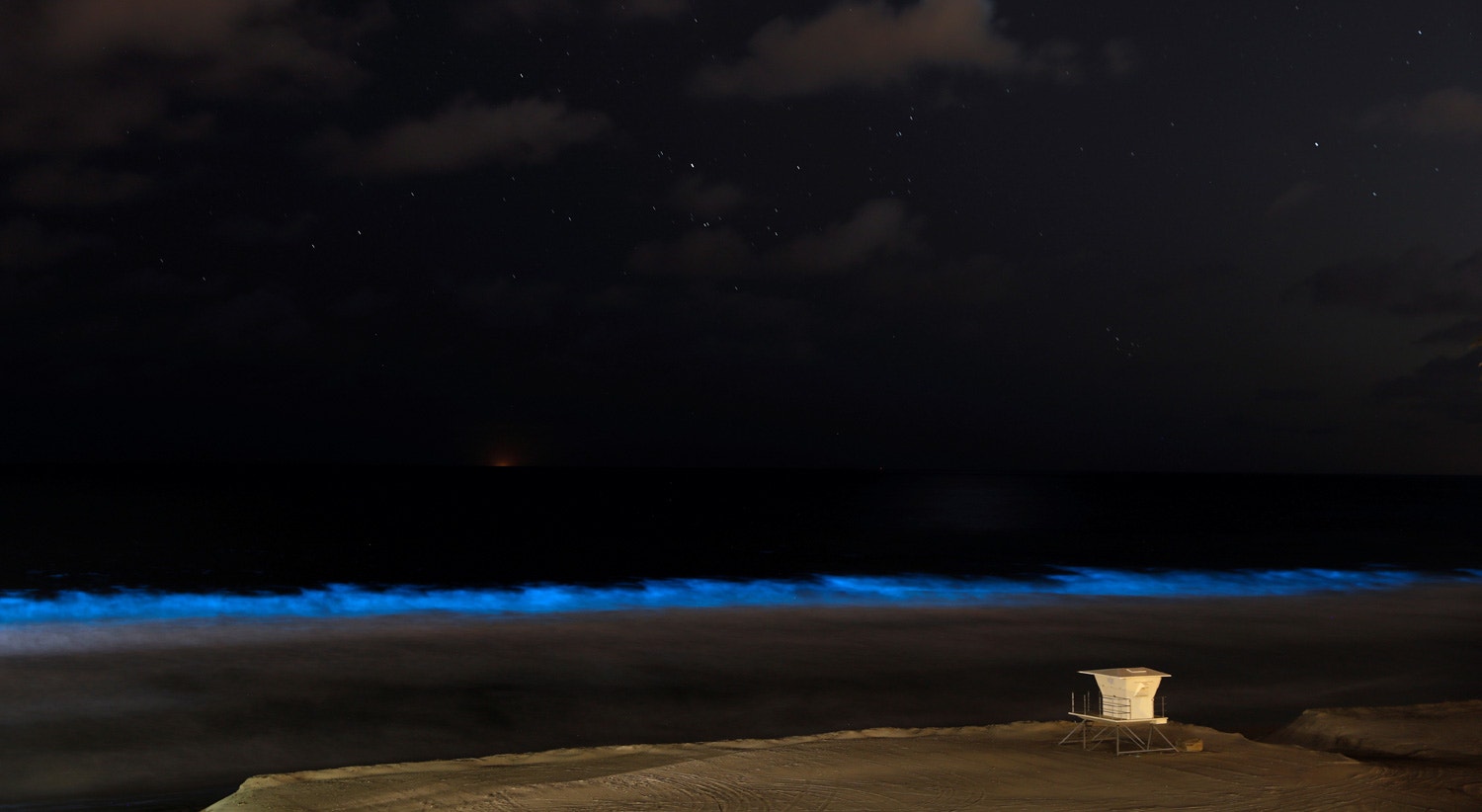  Algas bioluminescentes na Calif&oacute;rnia, nos Estados Unidos. 18 de abril de 2020 /Mike Blake - Reuters 