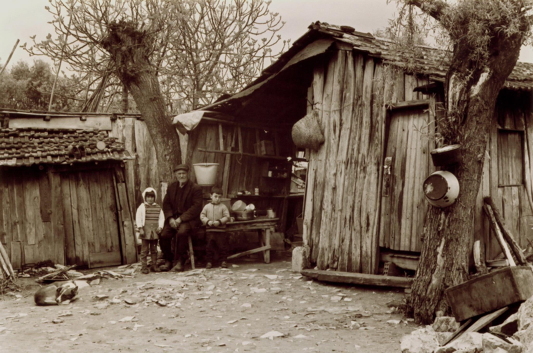 Constru&ccedil;&atilde;o de madeira por Avieiros  (Foto: Facebook Avieiros do Tejo)