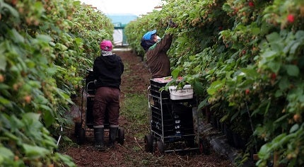 Almeirim avança com Plano para a Integração de Migrantes