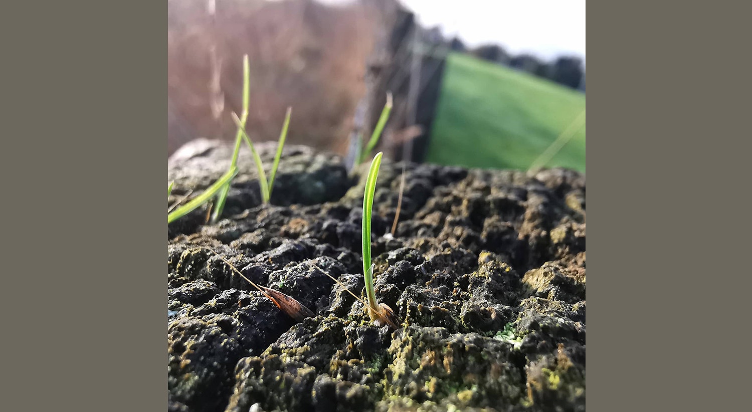  Glasgow, Reino Unido | Tiago Passos - RTP 