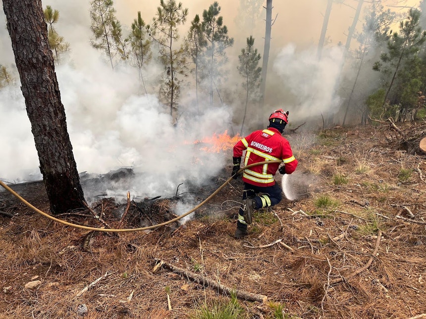 Imagem de Bombeiro morre durante formação em Paredes
