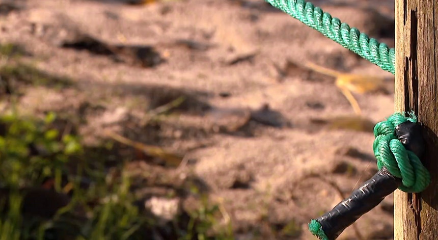 A Prova dos Factos. Professor condenado por abusos continuou a dar aulas